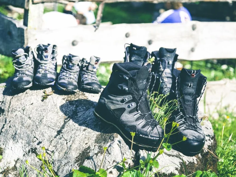 Trailschuh Ruhrtal Wald